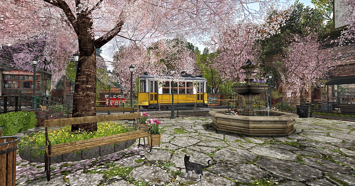 Cherry Blossom at Hi-Cafe in Second Life